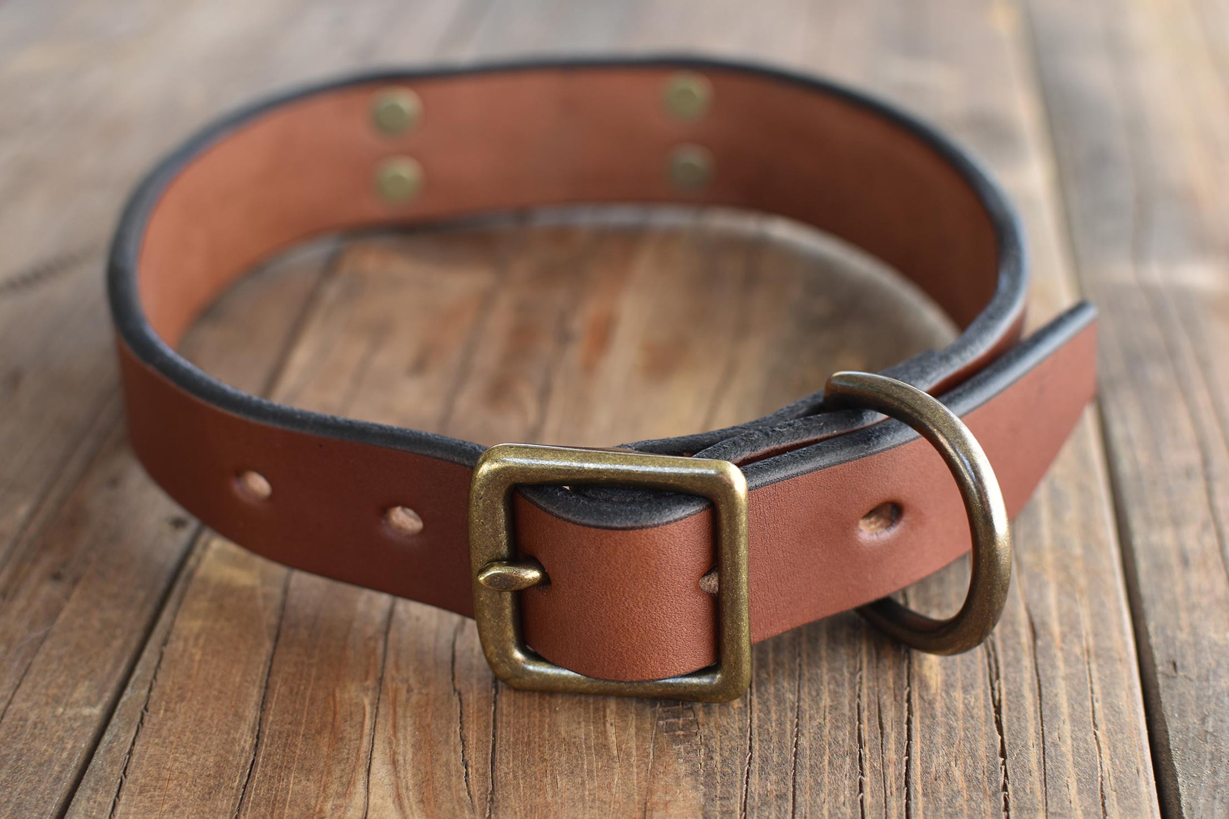 Blackthorn Leather dog collar in medium brown with antique brass hardware.
