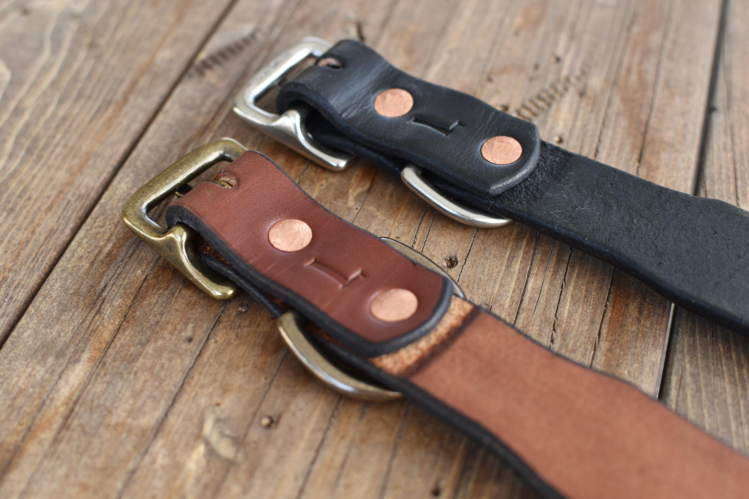 Blackthorn Leather dog collar in medium brown with antique brass hardware.