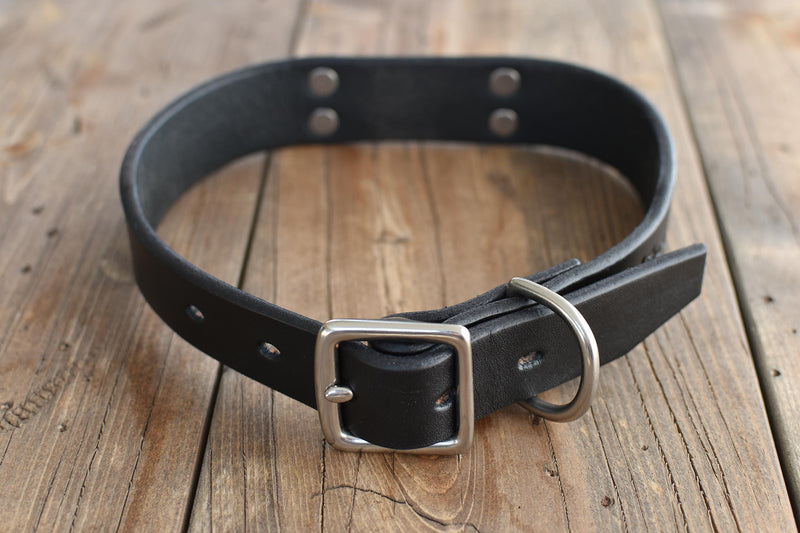 Blackthorn Leather dog collar in black with matte nickel hardware.