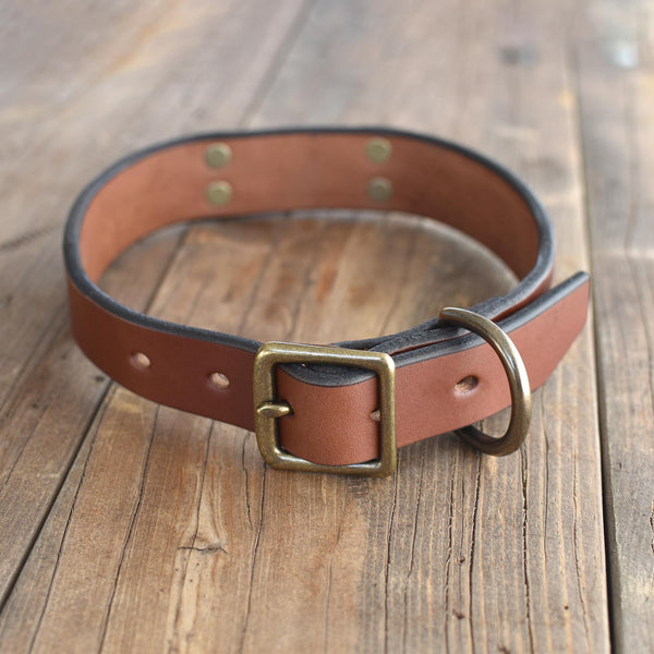 Blackthorn Leather Dog collar in medium brown with antique brass hardware.