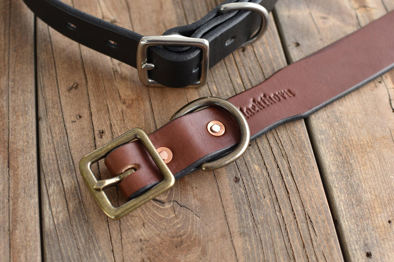Blackthorn Leather dog collar in medium brown with antique brass hardware.