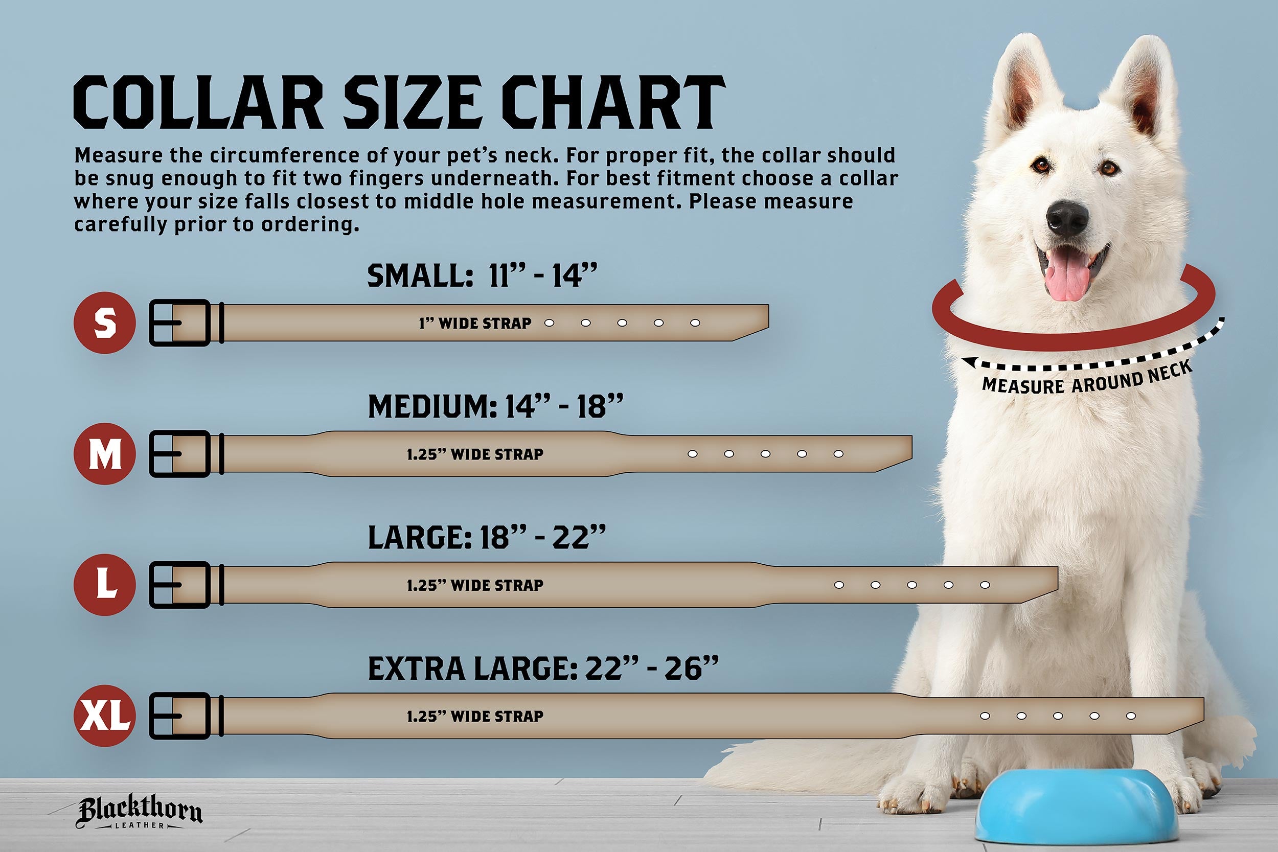 Blackthorn Leather dog collar sizing chart